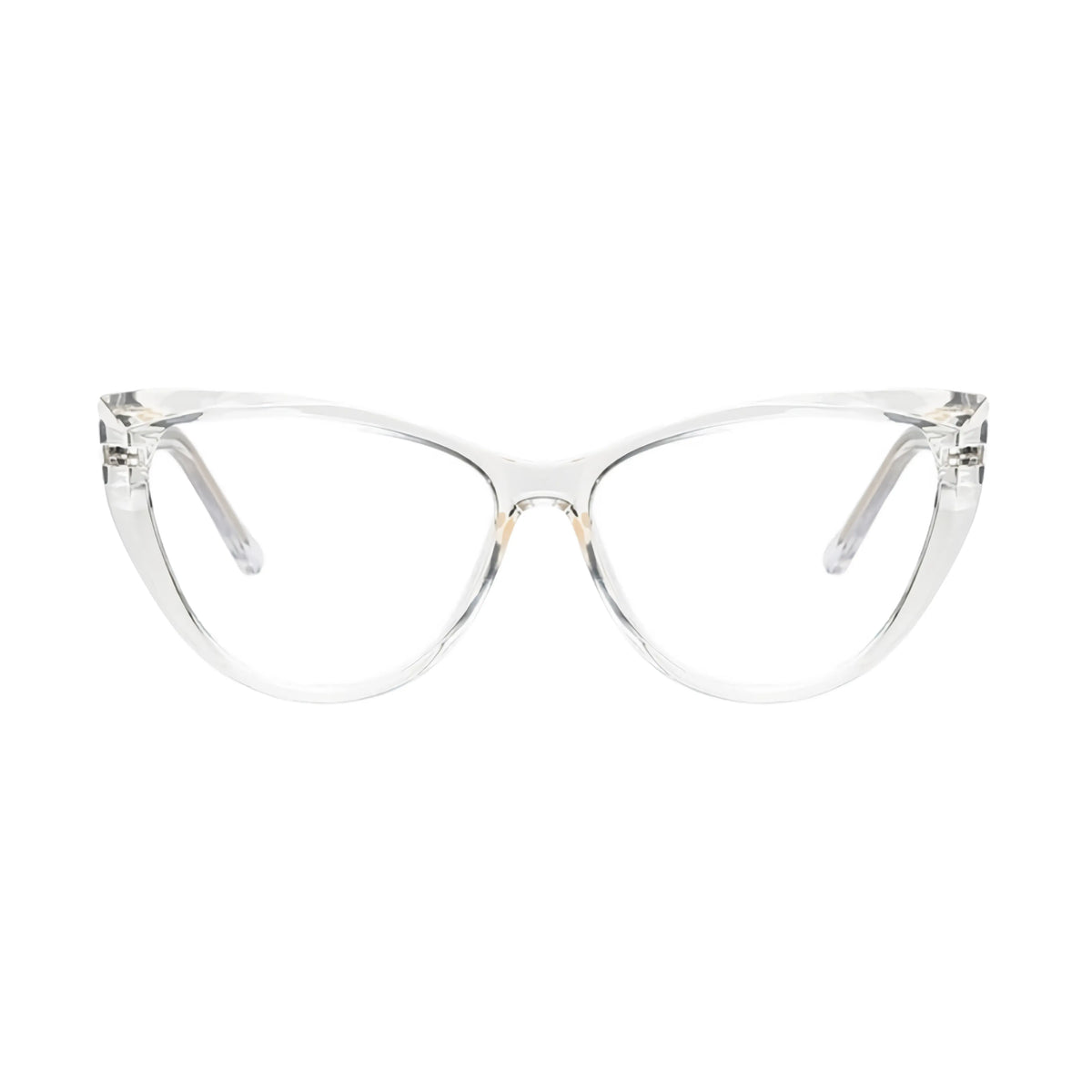 VisionGuard Pro