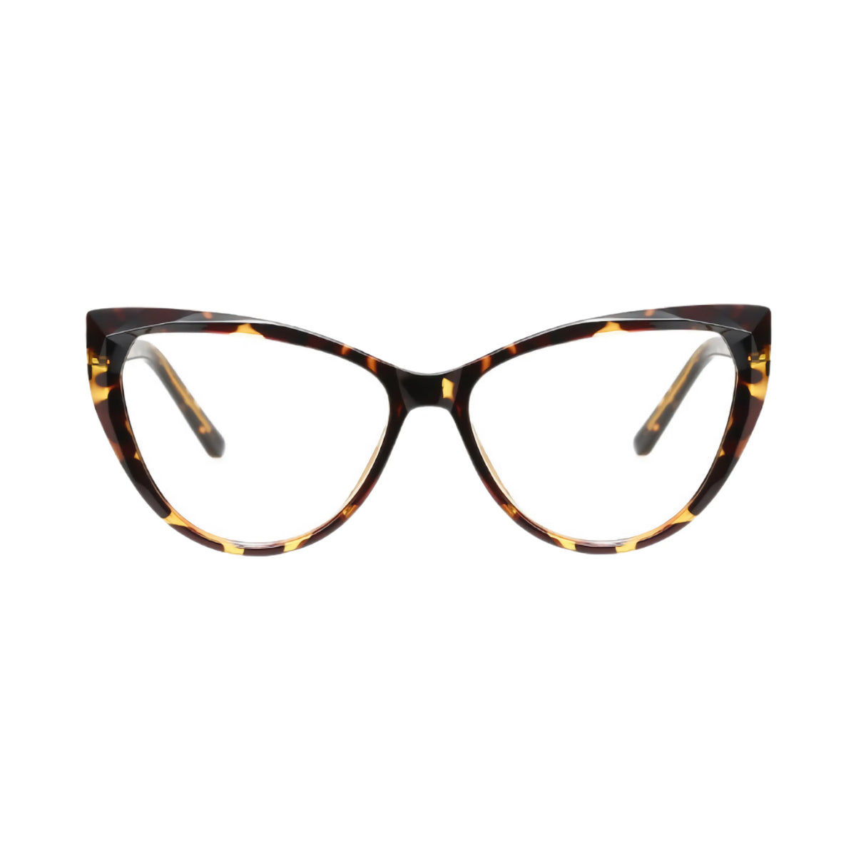 VisionGuard Pro
